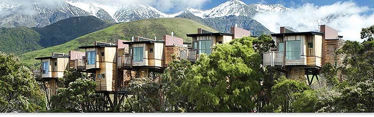 Copyright © Hapuku Lodge & Tree Houses