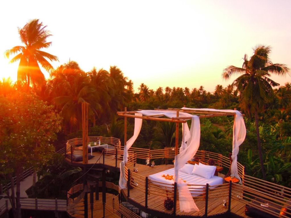 Copyright © Bangkok Tree House