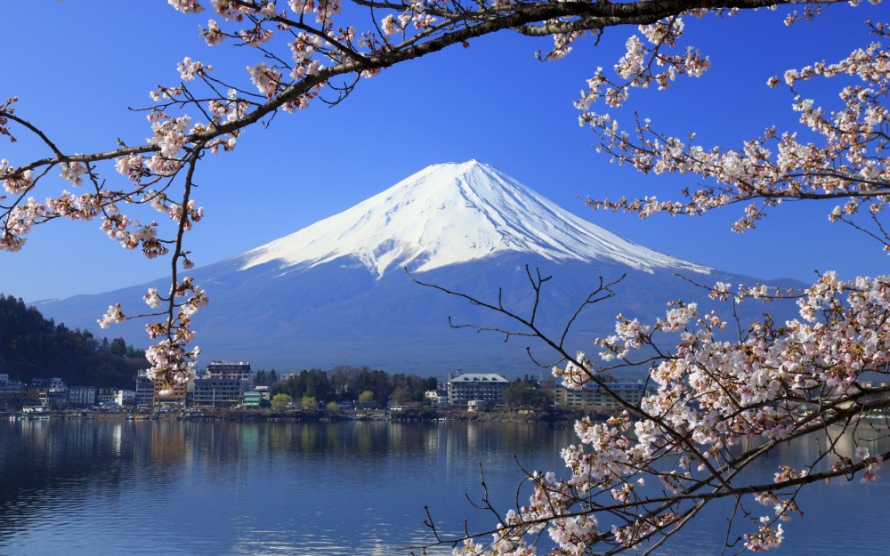 roughguides.com