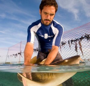 DiegoCardeñosa_sharks