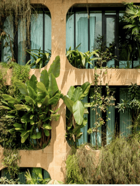 23 Hotel: el oasis tropical urbano con más onda de Medellín